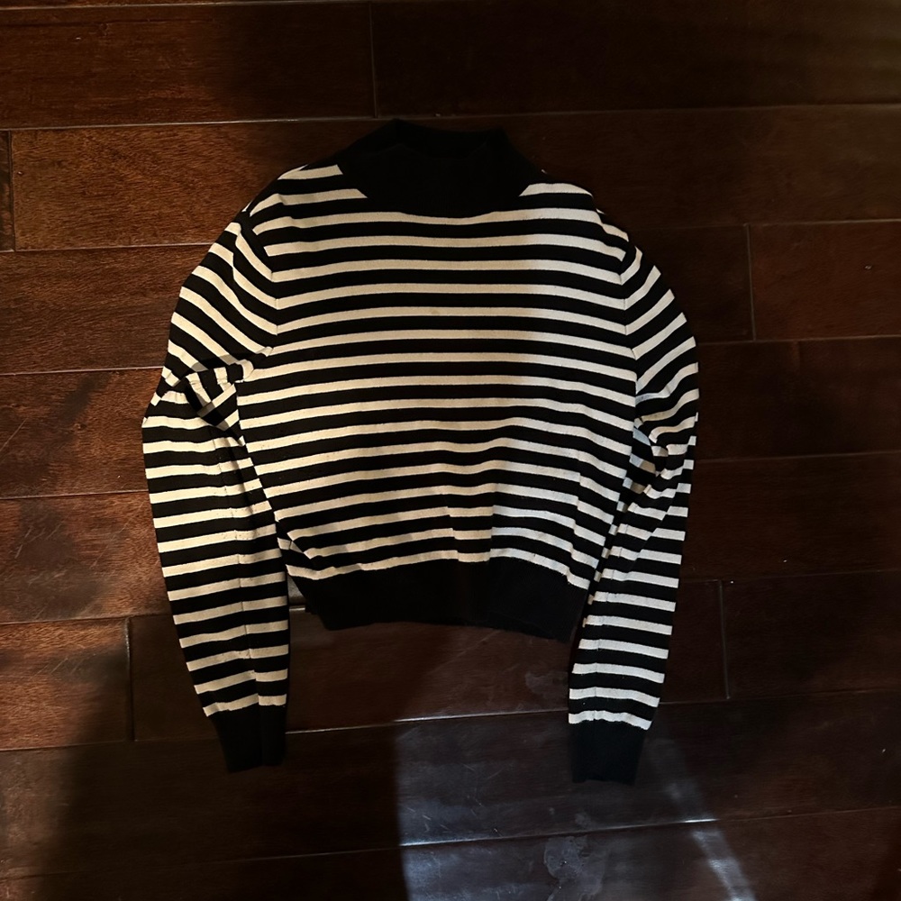 COPY - Zara mock neck striped sweater